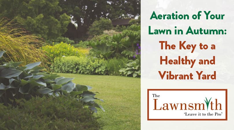 Aeration of Your Lawn in Autumn: The Key to a Healthy and Vibrant Yard
