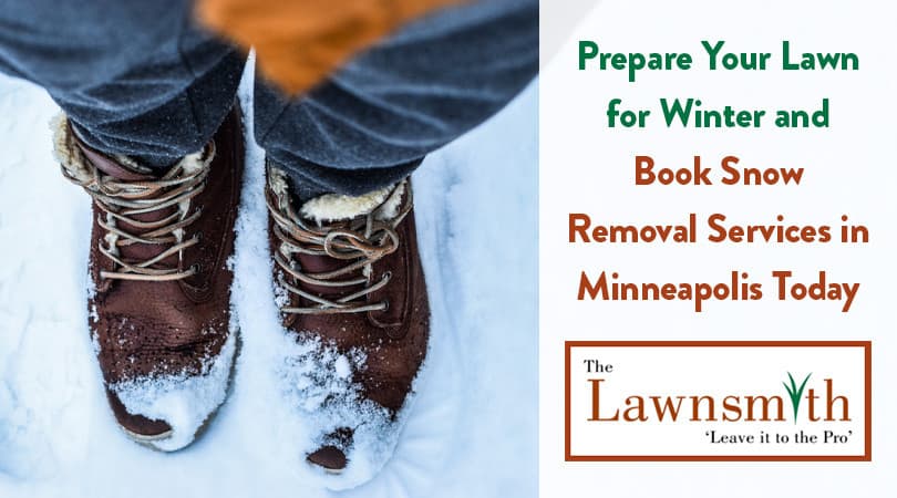 Prepare Your Lawn for Winter and Book Snow Removal Services in Minneapolis Today