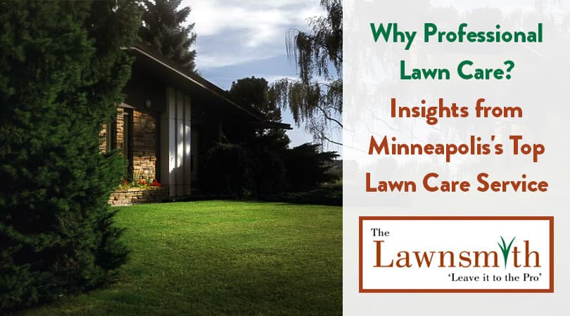 Why Professional Lawn Care? Insights from Minneapolis's Top Lawn Care Service