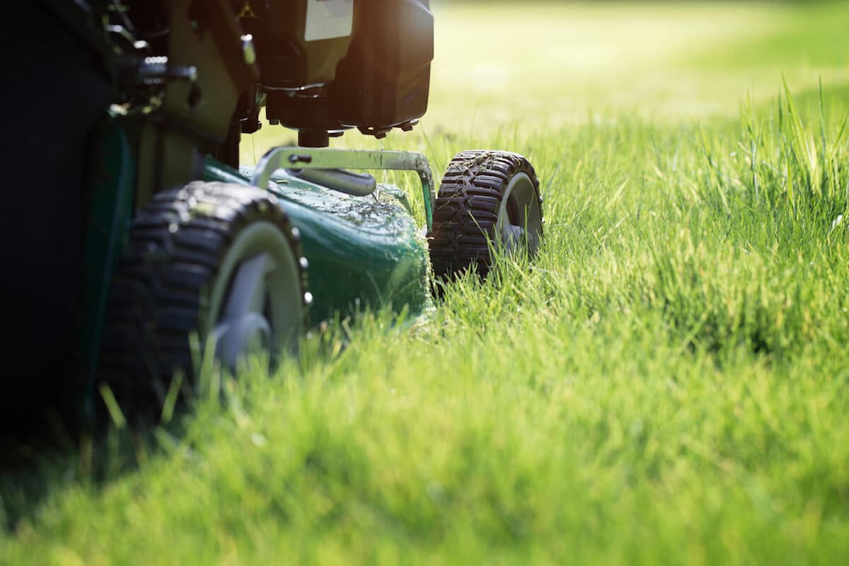 Professional lawn mowing service in Eden Prairie - The Lawnsmith weekly lawn maintenance